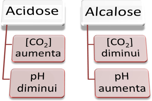 Características da alcalose e acidose