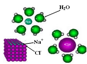Atração entre polos positivos e negativos das moléculas de água e dos íons do cloreto de sódio