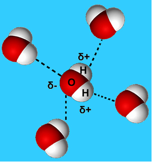 Ligações de hidrogênio entre moléculas de água