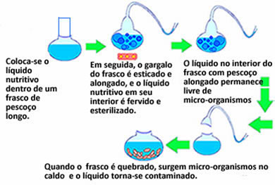 Os experimentos de Pasteur