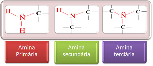 Classificação das aminas